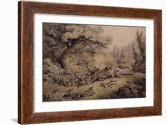 Wild Dogs Attacking a Tiger-Samuel Howitt-Framed Giclee Print