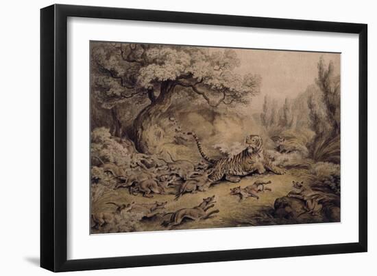 Wild Dogs Attacking a Tiger-Samuel Howitt-Framed Giclee Print