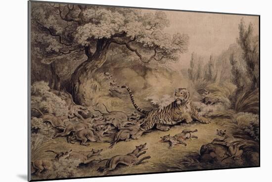 Wild Dogs Attacking a Tiger-Samuel Howitt-Mounted Giclee Print