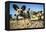 Wild Dogs, Moremi Game Reserve, Botswana-Paul Souders-Framed Premier Image Canvas