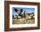 Wild Dogs, Moremi Game Reserve, Botswana-Paul Souders-Framed Photographic Print