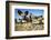 Wild Dogs, Moremi Game Reserve, Botswana-Paul Souders-Framed Photographic Print