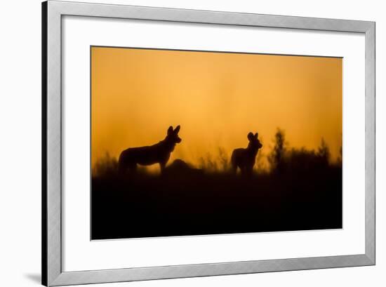 Wild Dogs, Moremi Game Reserve, Botswana-Paul Souders-Framed Photographic Print