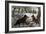 Wild Duck Hunting, 1880-Basil Bradley-Framed Giclee Print