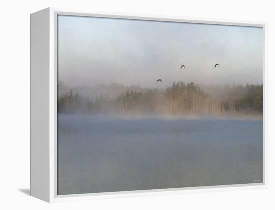 Wild Ducks in Morning Fog Flying over Post Lake on the Wolf River, Wisconsin-null-Framed Premier Image Canvas