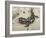 Wild eastern tiger salamander, Ambystoma tigrinum tigrinum, Central Florida.-Maresa Pryor-Framed Photographic Print