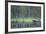 Wild Eurasian Wolverine (Gulo Gulo) Walking Along Waters Edge, Kuhmo, Finland, July 2008-Widstrand-Framed Photographic Print