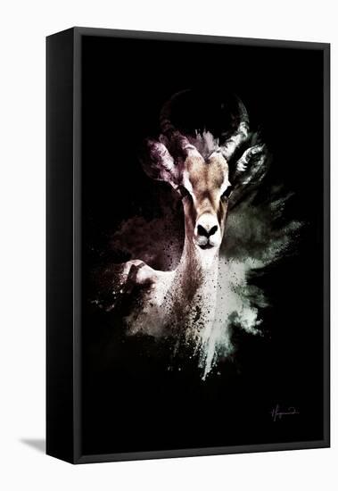 Wild Explosion Collection - The Antelope-Philippe Hugonnard-Framed Stretched Canvas