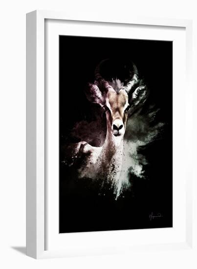 Wild Explosion Collection - The Antelope-Philippe Hugonnard-Framed Art Print