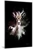 Wild Explosion Collection - The Antelope-Philippe Hugonnard-Mounted Art Print