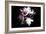 Wild Explosion Collection - The Cape Buffalo-Philippe Hugonnard-Framed Premium Giclee Print