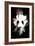 Wild Explosion Collection - The Panda-Philippe Hugonnard-Framed Premium Giclee Print