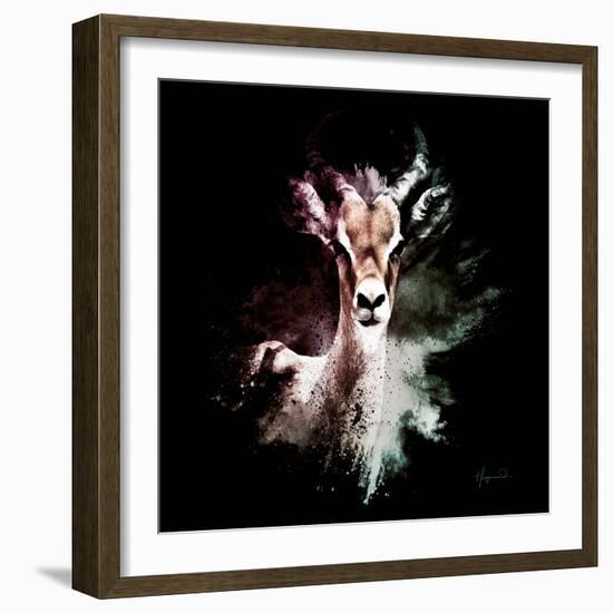 Wild Explosion Square Collection - The Antelope-Philippe Hugonnard-Framed Art Print