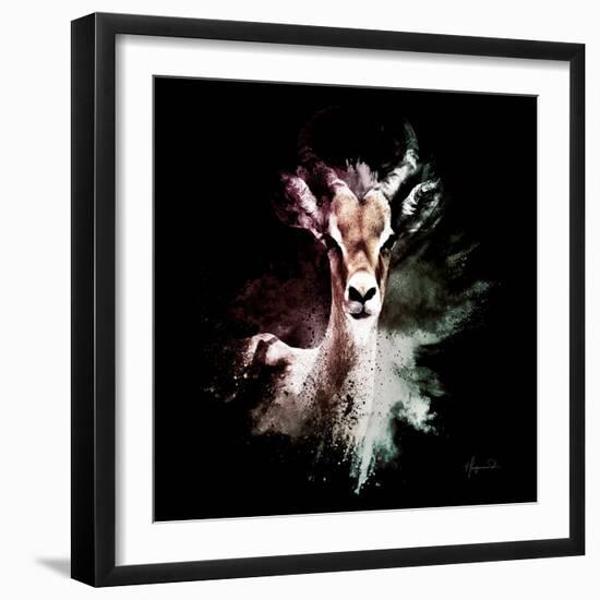 Wild Explosion Square Collection - The Antelope-Philippe Hugonnard-Framed Art Print