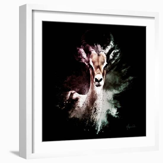 Wild Explosion Square Collection - The Antelope-Philippe Hugonnard-Framed Art Print