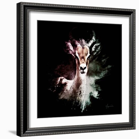 Wild Explosion Square Collection - The Antelope-Philippe Hugonnard-Framed Art Print