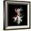 Wild Explosion Square Collection - The Antelope-Philippe Hugonnard-Framed Art Print