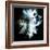 Wild Explosion Square Collection - The Hyena-Philippe Hugonnard-Framed Premium Giclee Print