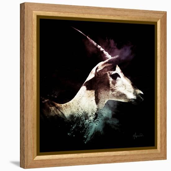 Wild Explosion Square Collection - The Impala-Philippe Hugonnard-Framed Stretched Canvas