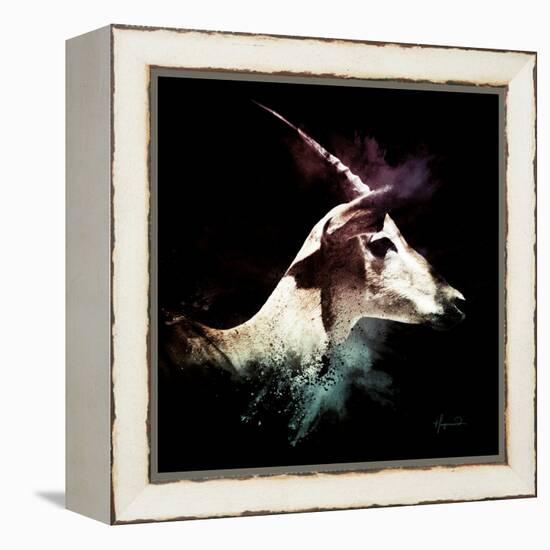 Wild Explosion Square Collection - The Impala-Philippe Hugonnard-Framed Stretched Canvas