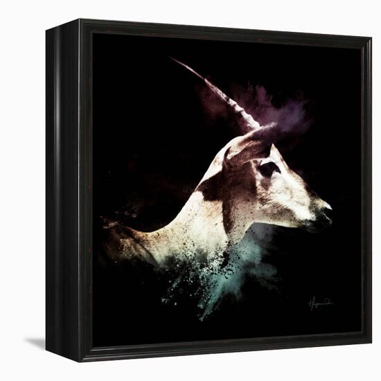 Wild Explosion Square Collection - The Impala-Philippe Hugonnard-Framed Stretched Canvas