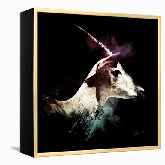 Wild Explosion Square Collection - The Impala-Philippe Hugonnard-Framed Stretched Canvas