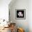Wild Explosion Square Collection - The Lion-Philippe Hugonnard-Framed Art Print displayed on a wall