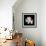 Wild Explosion Square Collection - The Lion-Philippe Hugonnard-Framed Art Print displayed on a wall