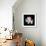 Wild Explosion Square Collection - The Lion-Philippe Hugonnard-Framed Art Print displayed on a wall