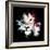 Wild Explosion Square Collection - The Lion-Philippe Hugonnard-Framed Art Print