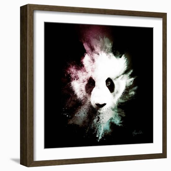 Wild Explosion Square Collection - The Panda-Philippe Hugonnard-Framed Art Print