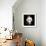 Wild Explosion Square Collection - The Panda-Philippe Hugonnard-Framed Art Print displayed on a wall