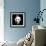 Wild Explosion Square Collection - The Panda-Philippe Hugonnard-Framed Premium Giclee Print displayed on a wall