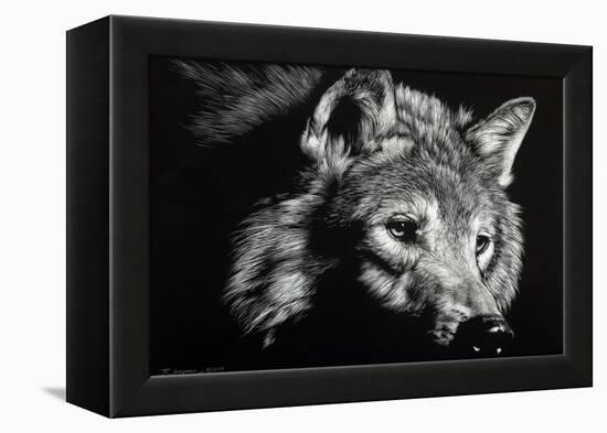 Wild Eyes-Julie Chapman-Framed Stretched Canvas