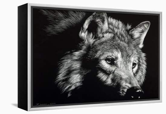 Wild Eyes-Julie Chapman-Framed Stretched Canvas