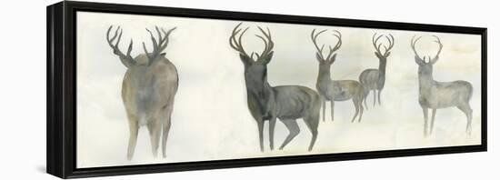Wild Family-Beverly Dyer-Framed Stretched Canvas
