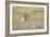 Wild Field - Rest-Staffan Widstrand-Framed Giclee Print