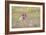 Wild Field - Rest-Staffan Widstrand-Framed Giclee Print