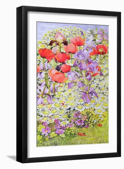 Wild Flower Conservation; Garden Border-Joan Thewsey-Framed Giclee Print
