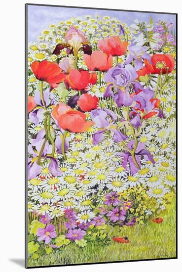 Wild Flower Conservation; Garden Border-Joan Thewsey-Mounted Giclee Print