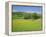 Wild Flower Meadow, Swaledale, Yorkshire Dales National Park, North Yorkshire, England, UK, Europe-Jonathan Hodson-Framed Premier Image Canvas