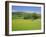 Wild Flower Meadow, Swaledale, Yorkshire Dales National Park, North Yorkshire, England, UK, Europe-Jonathan Hodson-Framed Photographic Print