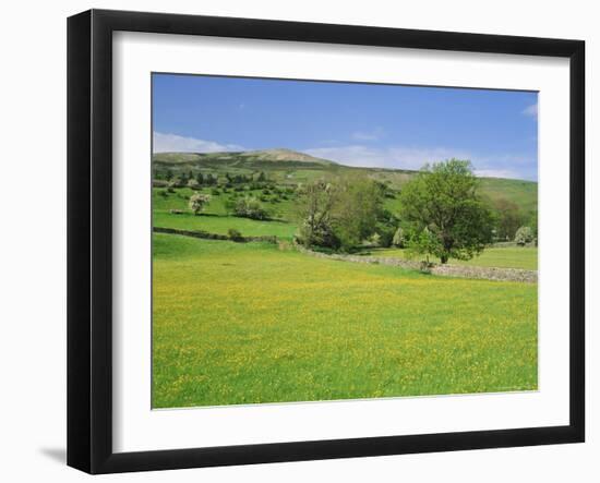 Wild Flower Meadow, Swaledale, Yorkshire Dales National Park, North Yorkshire, England, UK, Europe-Jonathan Hodson-Framed Photographic Print