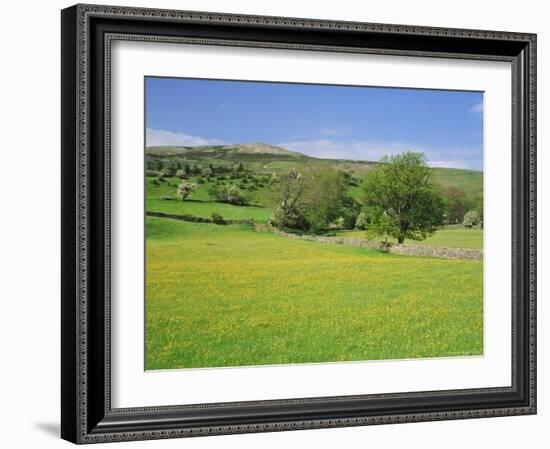 Wild Flower Meadow, Swaledale, Yorkshire Dales National Park, North Yorkshire, England, UK, Europe-Jonathan Hodson-Framed Photographic Print