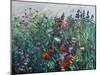 Wild Flower Meadow-Sylvia Paul-Mounted Giclee Print