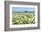 Wild Flowering Oxeye Daisies-Ruud Morijn-Framed Photographic Print