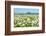 Wild Flowering Oxeye Daisies-Ruud Morijn-Framed Photographic Print