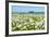 Wild Flowering Oxeye Daisies-Ruud Morijn-Framed Photographic Print