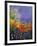 Wild Flowers 454120-Pol Ledent-Framed Premium Giclee Print