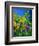 Wild Flowers 454170-Pol Ledent-Framed Art Print